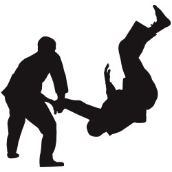Hapkido Hapkido