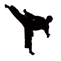 Tae Kwon Do Tae Kwon Do