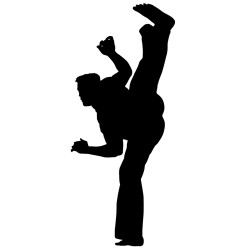 Kickboxing Kickboxing