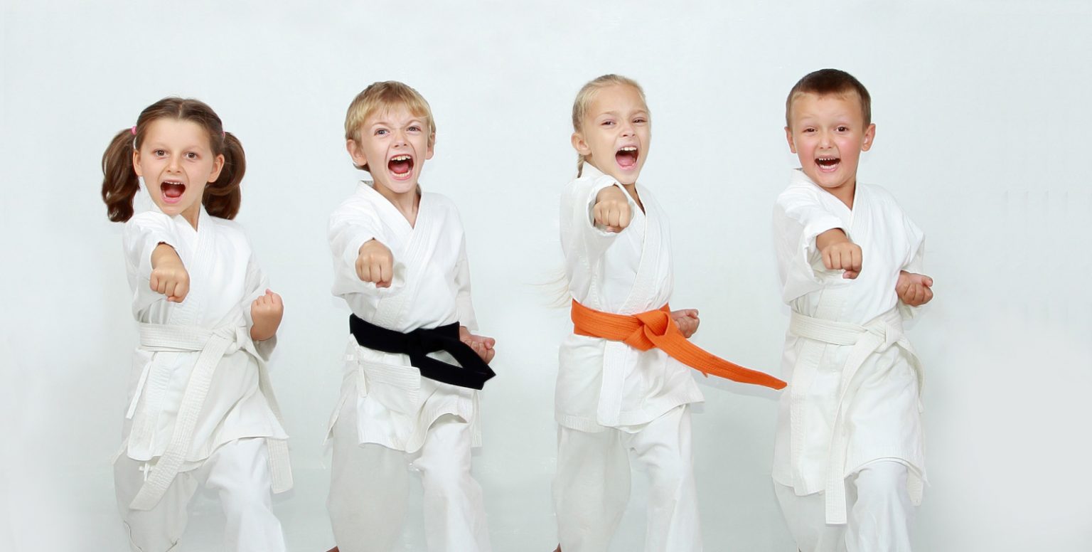 All Stars Martial Arts Martial Arts Studio